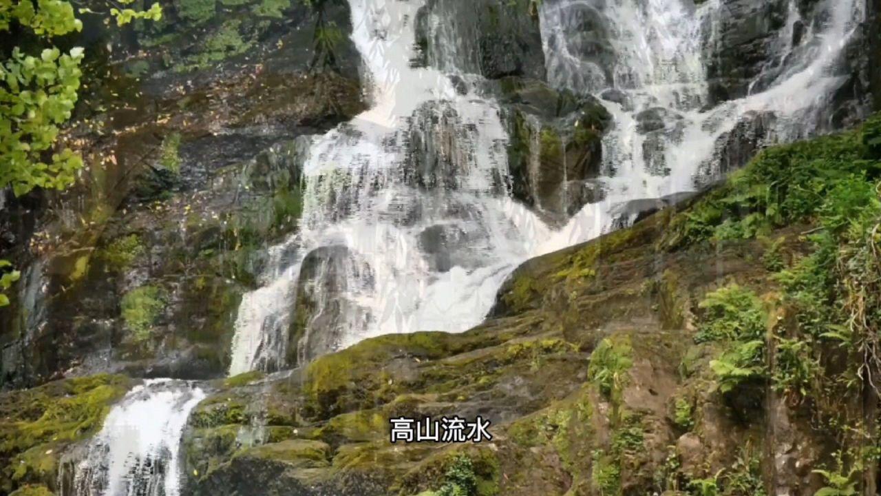 速算小天才
